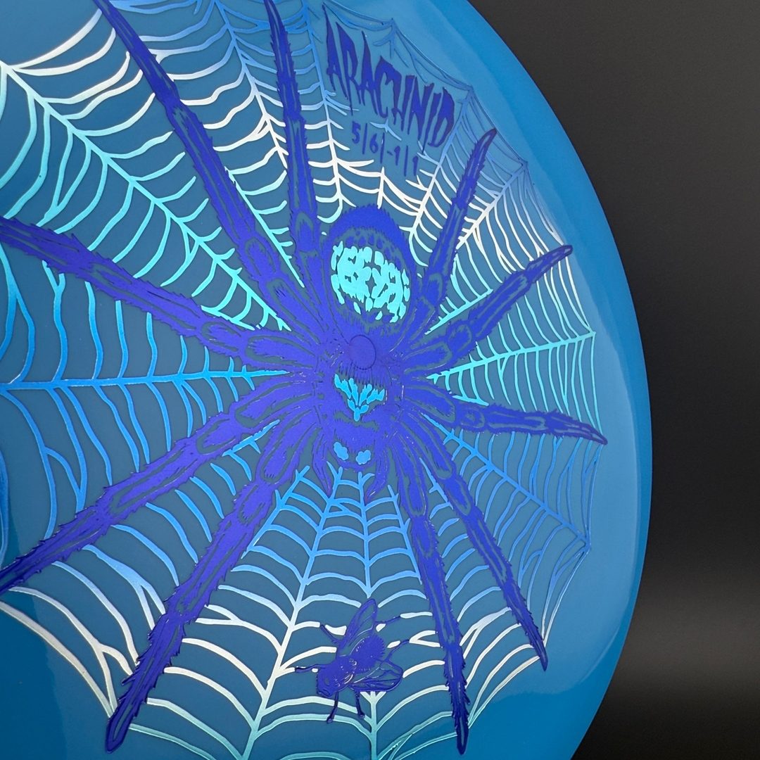Star Arachnid - Decawolf by Kelly Baber Innova