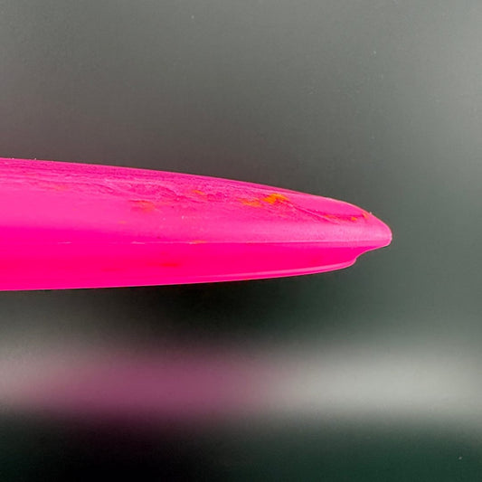 Egg Shell Stegosaurus - Baby Stego Dino Discs