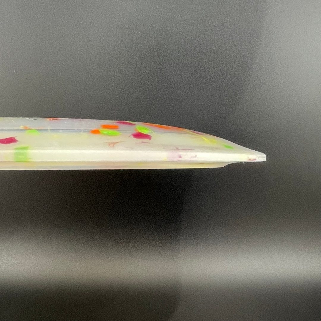 Egg Shell Allosaurus - Special Edition Dino Discs