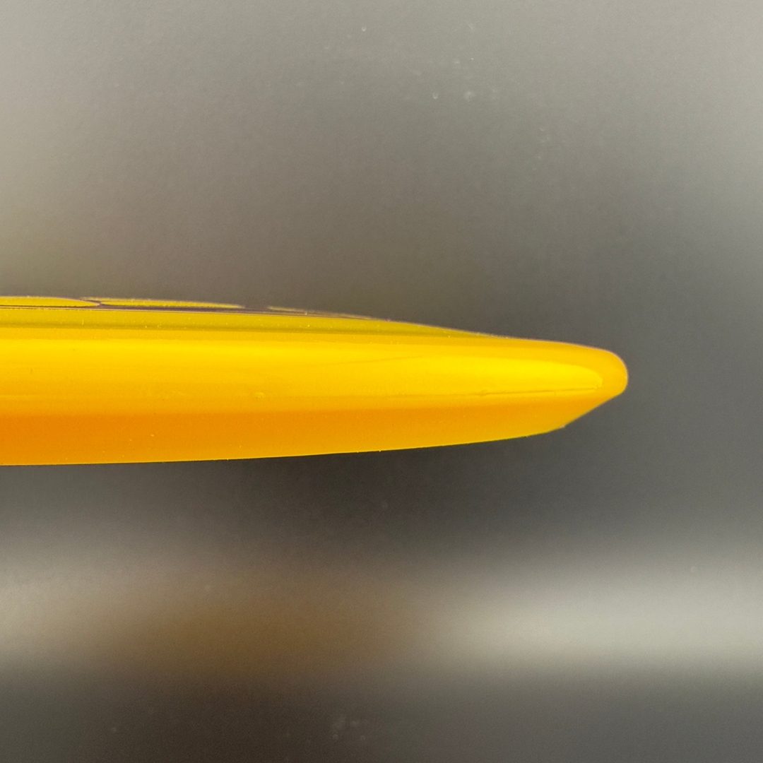 Survival Area 51 Doomsday Discs