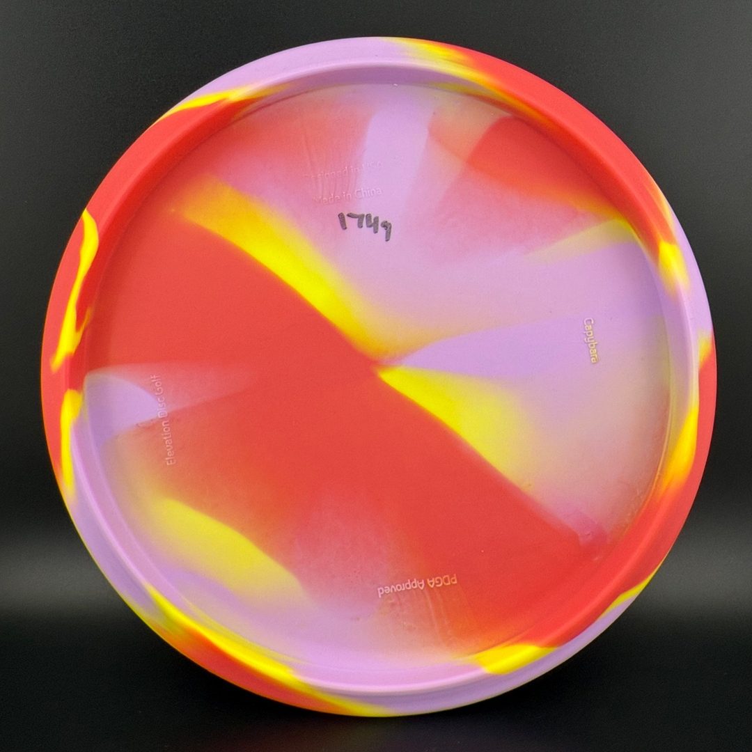 OG Capybara - Clownybara Elevation