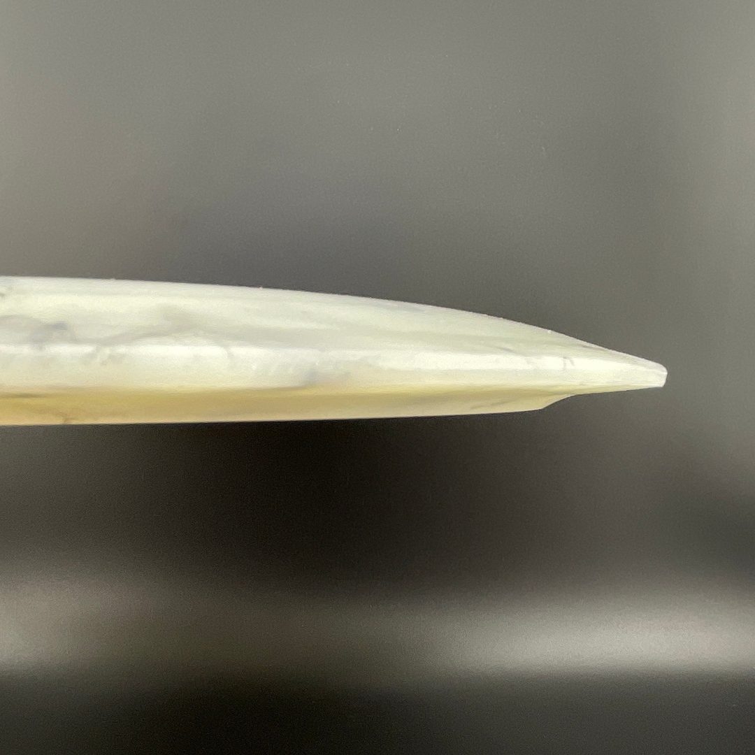 Radioactive Waste Famine Doomsday Discs