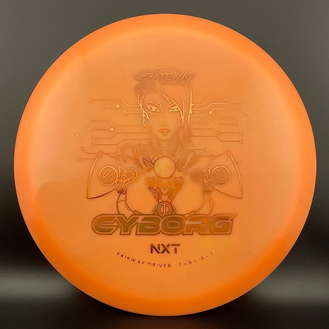 NXT Cyborg Gateway