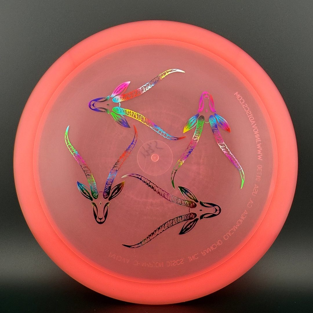 Champion Gazelle - Artist's Corner Innova