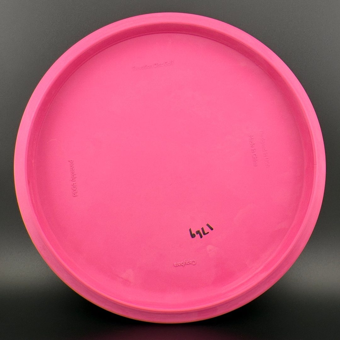 ecoFIRM Capybara - First Run Elevation