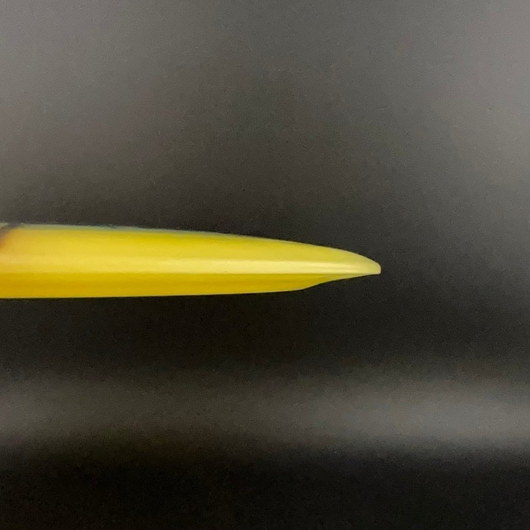 I-Dye Champion Boss - David Wiggins Jr 1108 World Record Innova