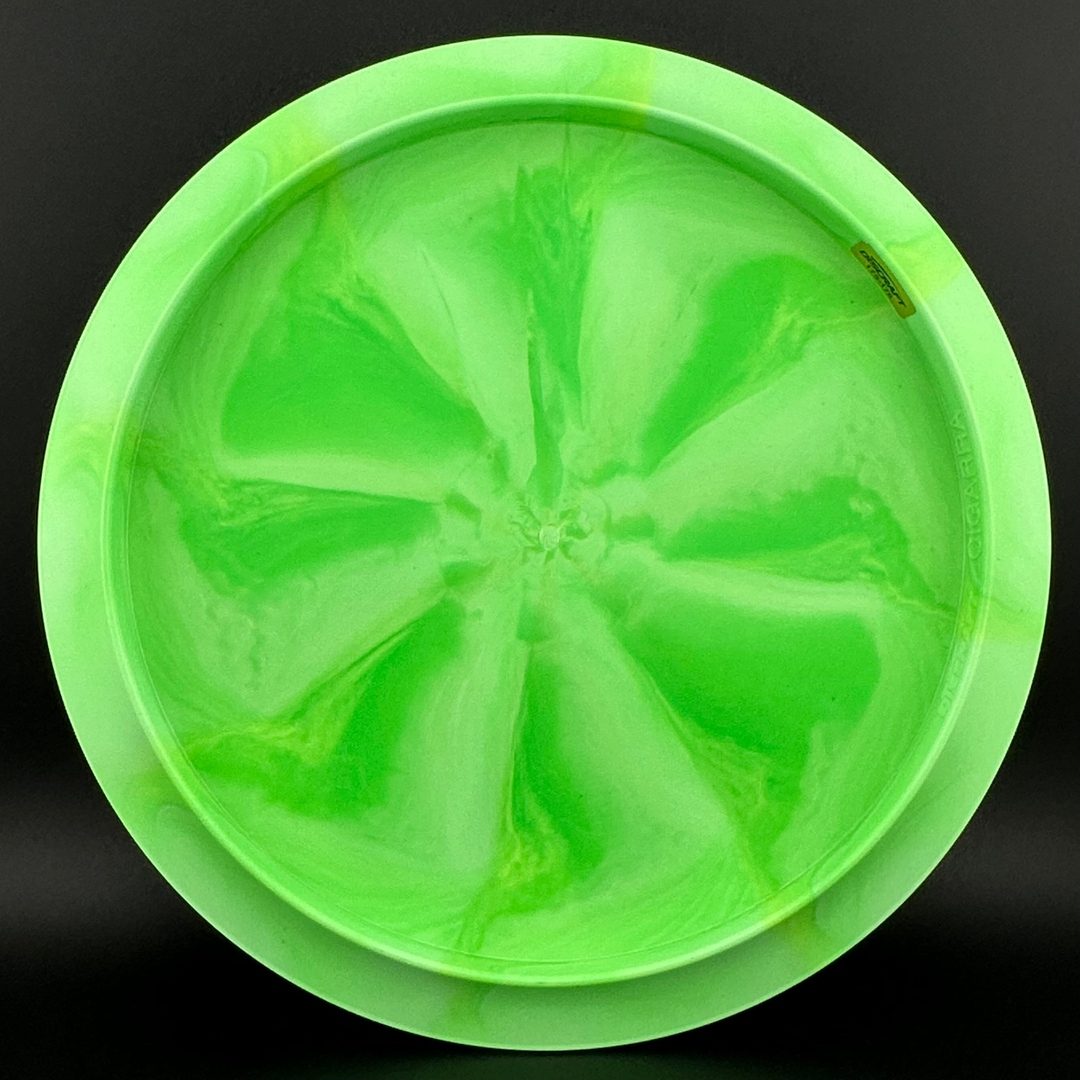 Colorshift ESP Cigarra - DGLO 2025 Discraft