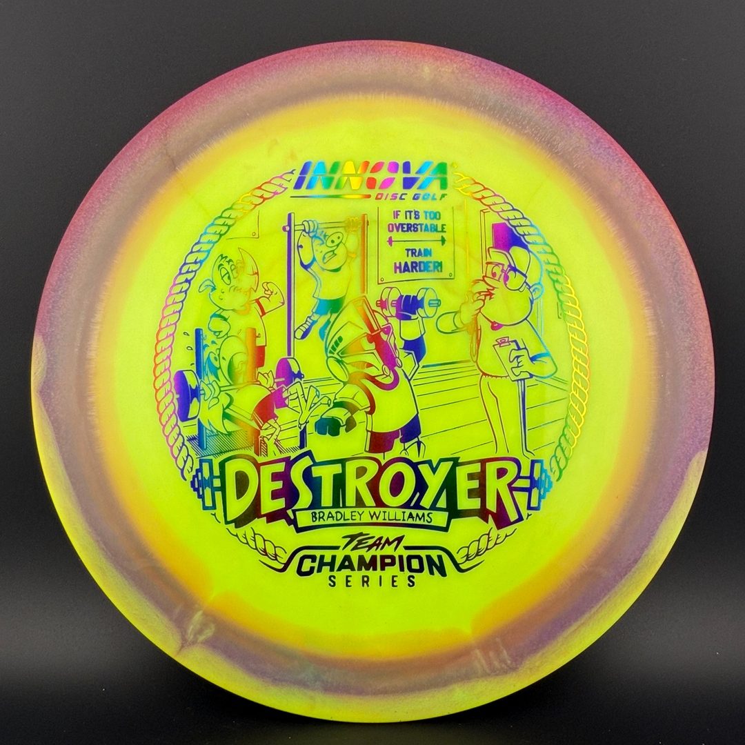 Halo Star Destroyer - Baby Destroyer - PDGA Masters Bradley Williams Innova