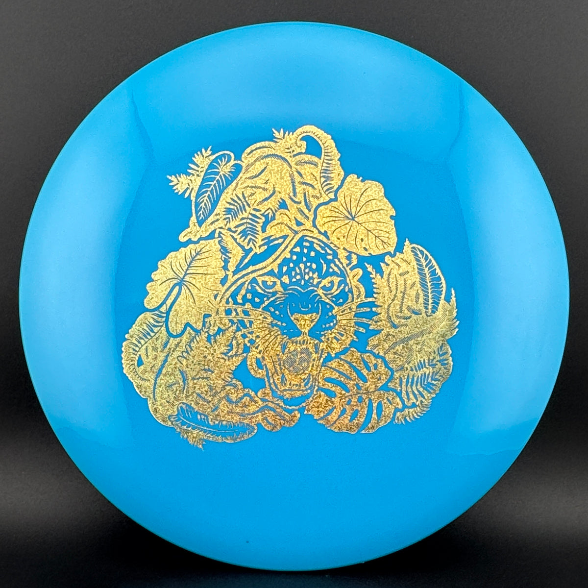 Echo Star Leopard3 Innova