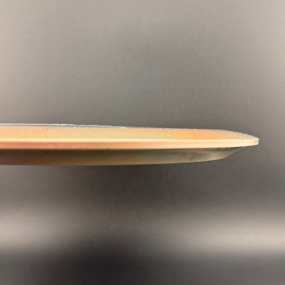 Landfill Ice Age Doomsday Discs