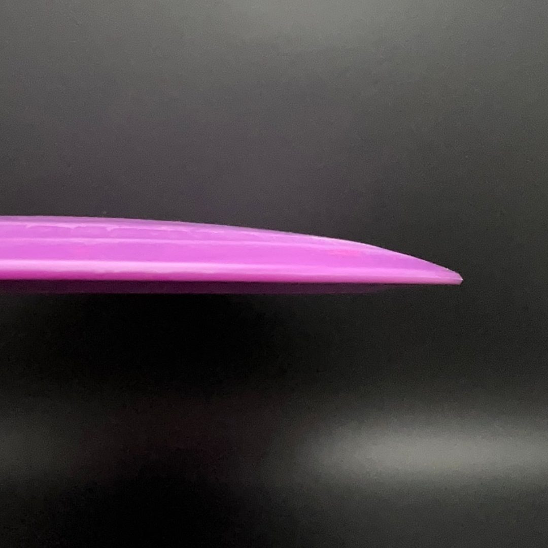 Egg Shell Tyrannosaurus Rex - Baby T-Rex Dino Discs