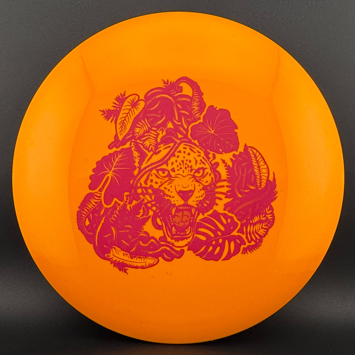 Echo Star Leopard3 Innova