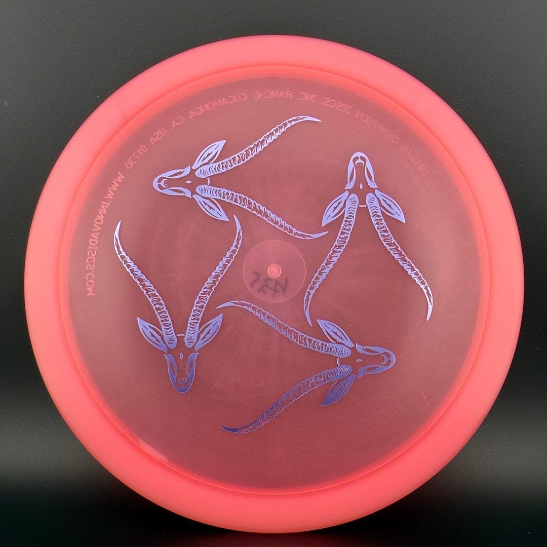 Champion Gazelle - Artist's Corner Innova