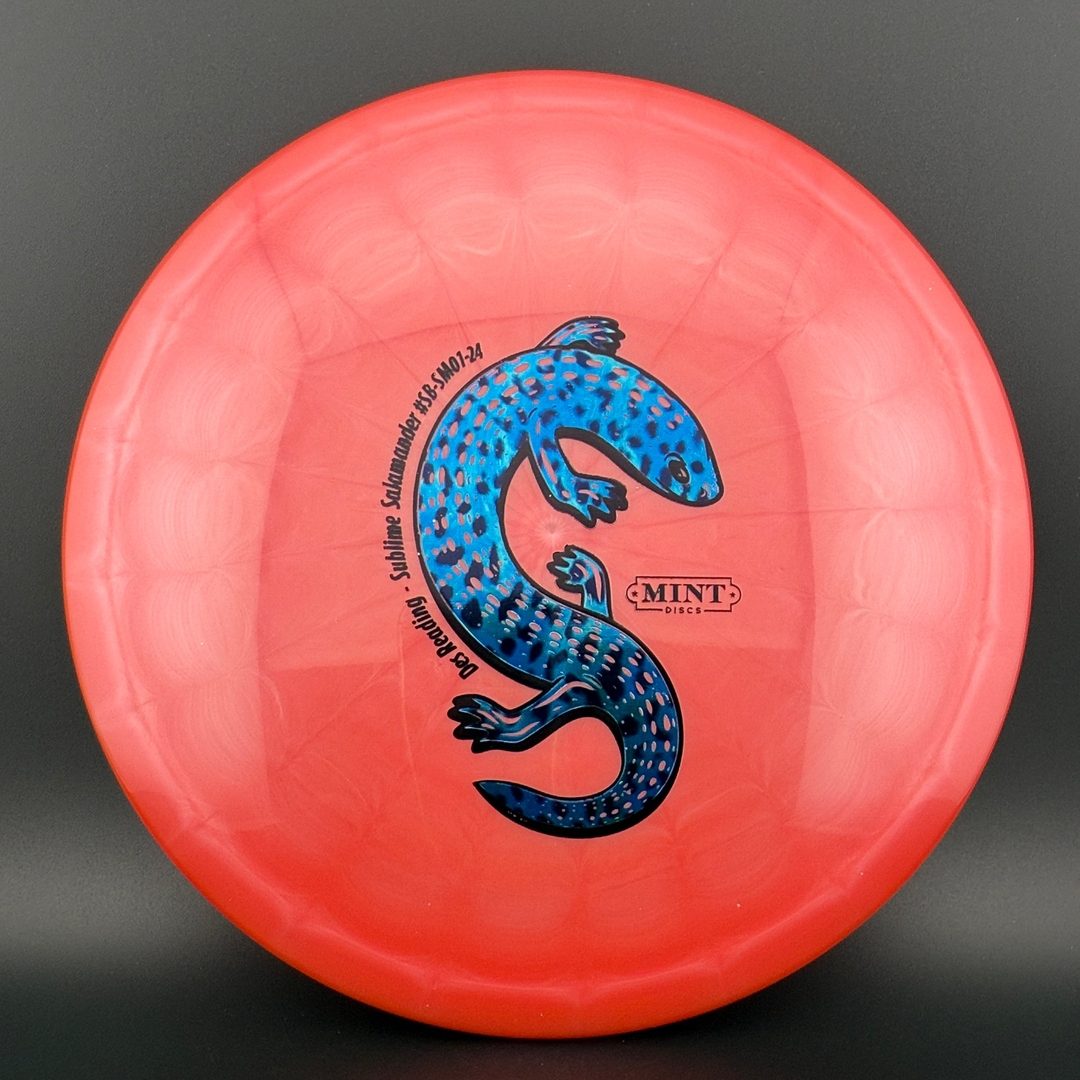 Sublime Salamander (First Run) - Des Reading 2024
