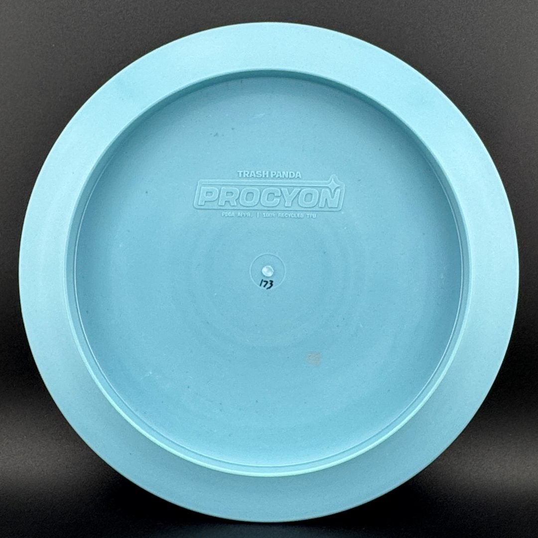Procyon trash panda