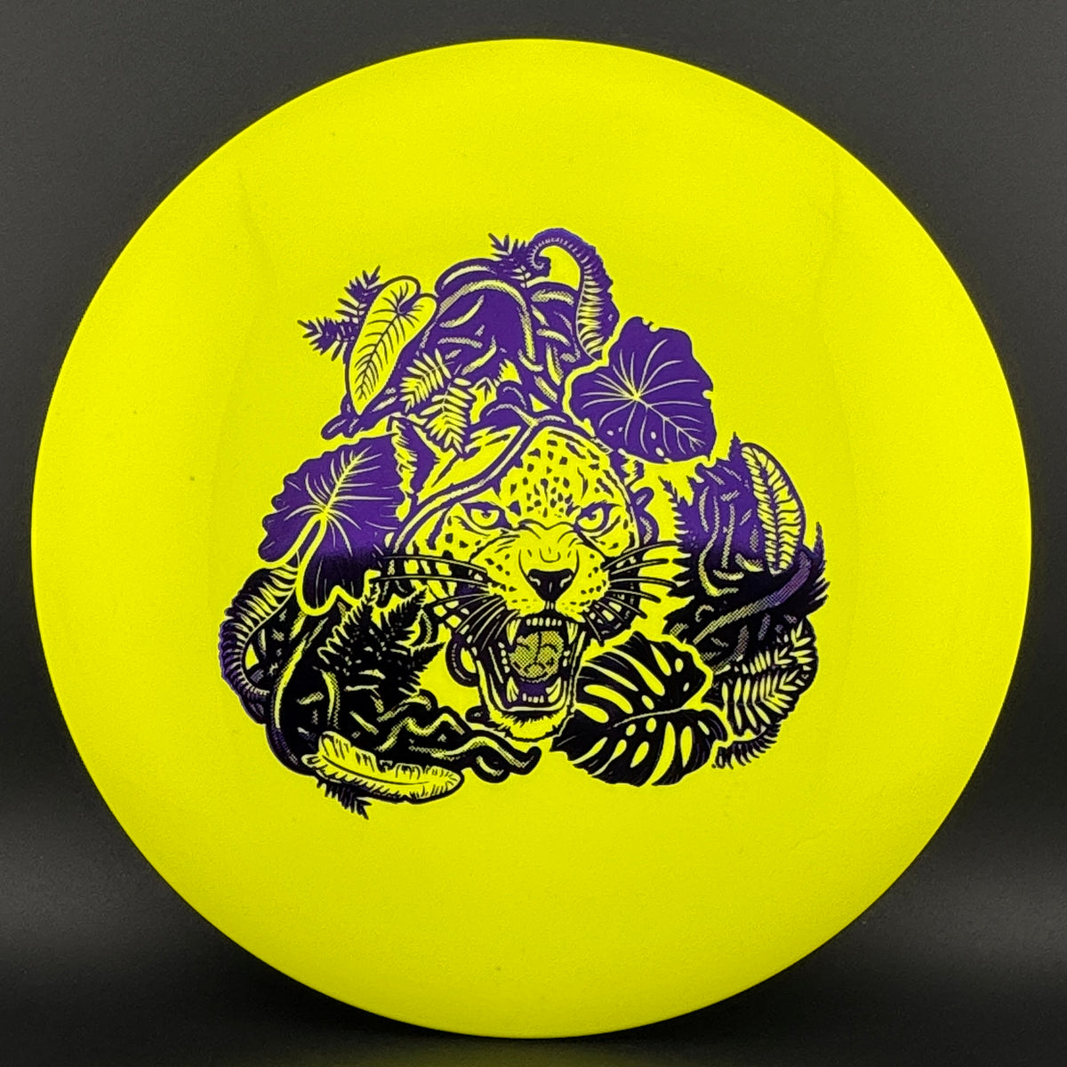 Echo Star Leopard3 Innova