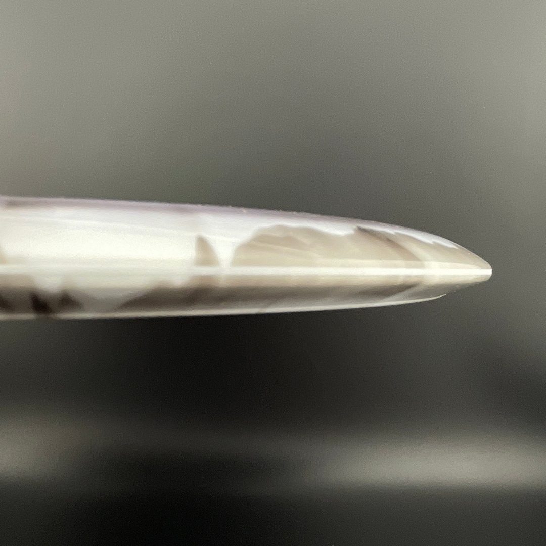 Halo Star Rollo Innova