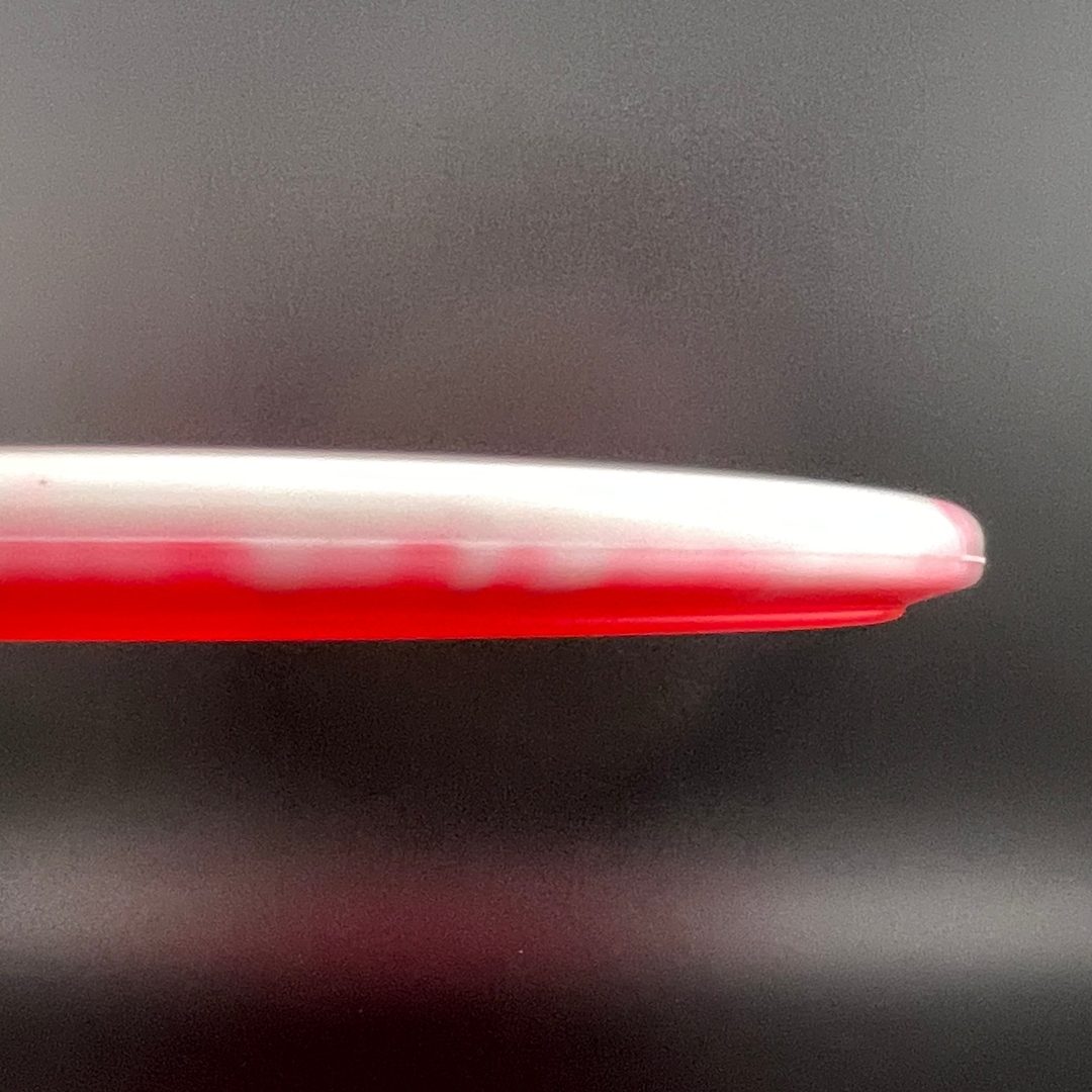 Halo Star Gator3 - Rasmus Saukkoriipi 2026 Innova