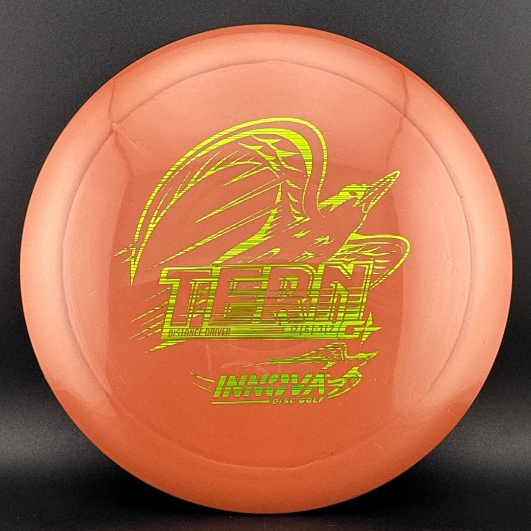 GStar Tern Innova