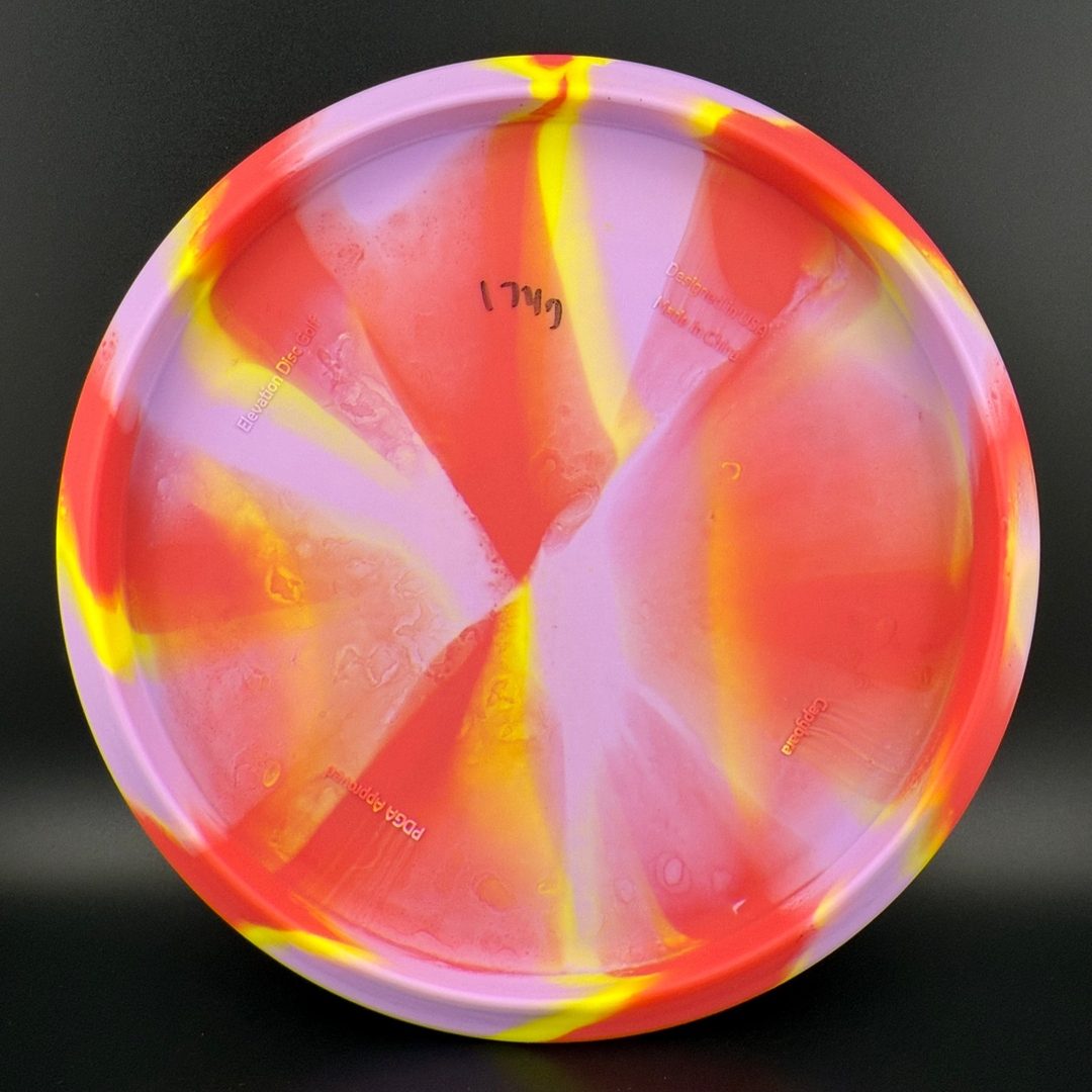 OG Capybara - Clownybara Elevation