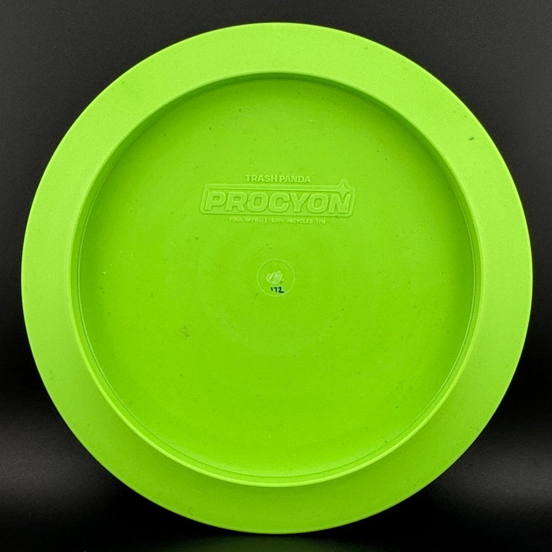 Procyon trash panda