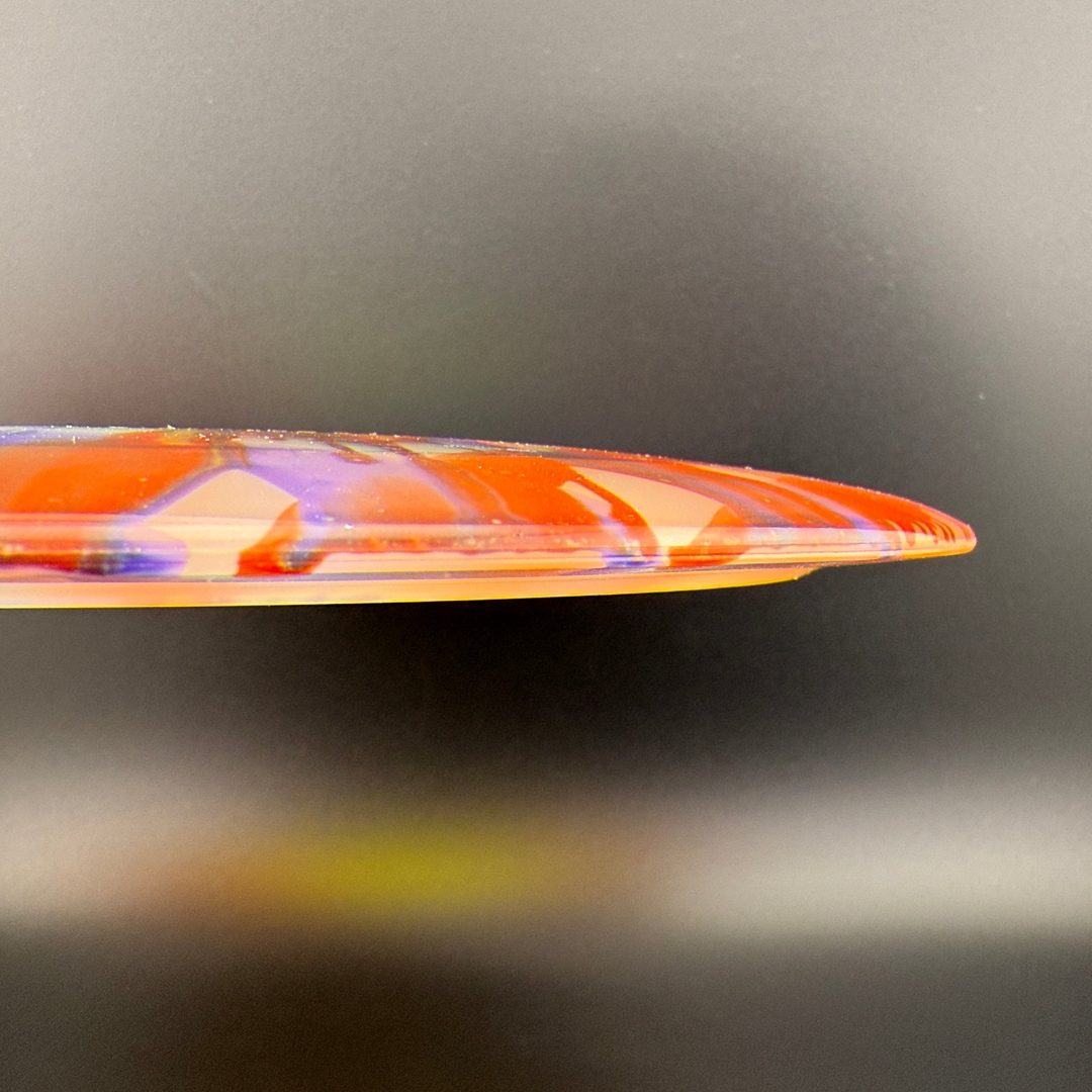 I-Dye Champion Tern Innova