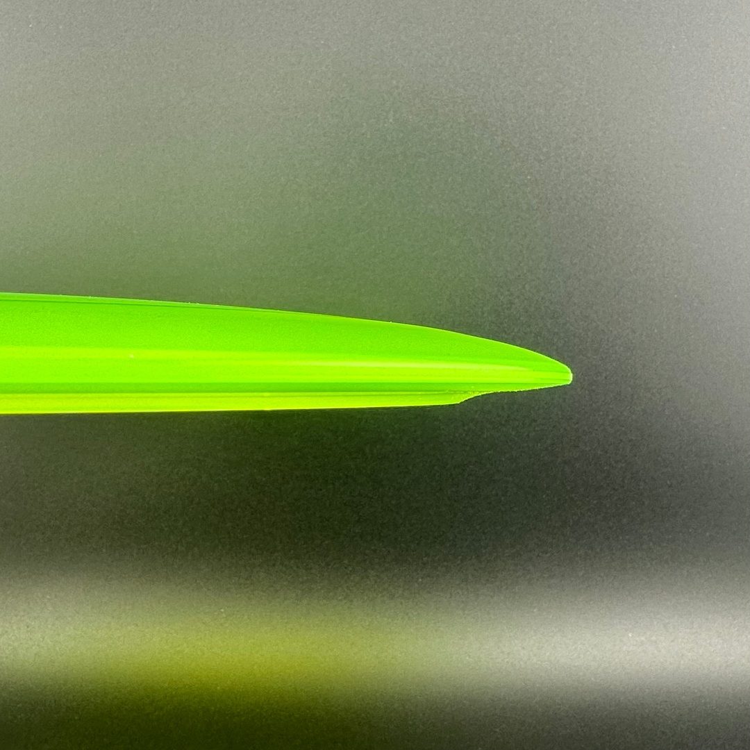 Champion Tern Innova