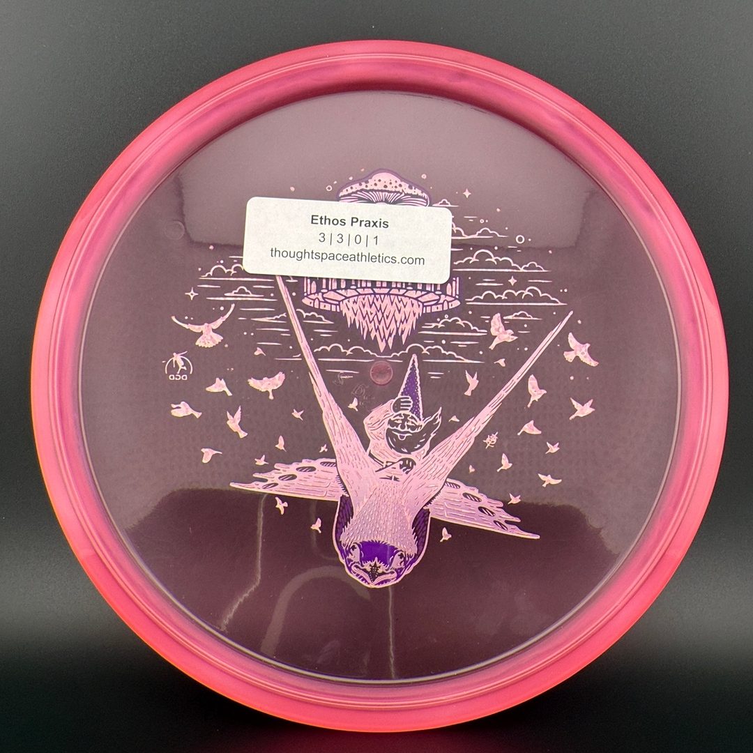 Ethos Praxis - Sparrow Rider by Skeet Scienski TSA