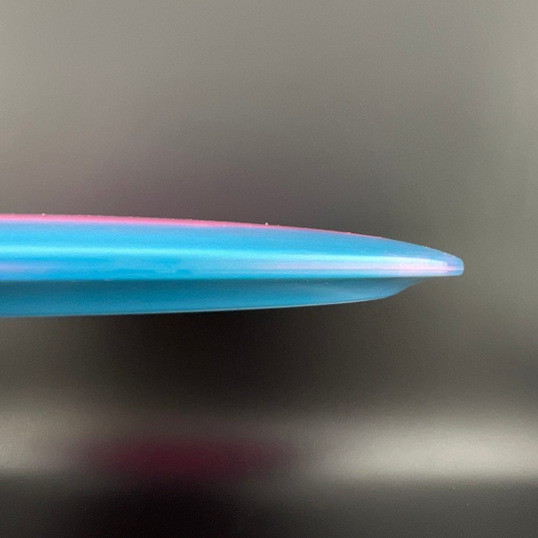 Tournament Orbit Bear Westside Discs