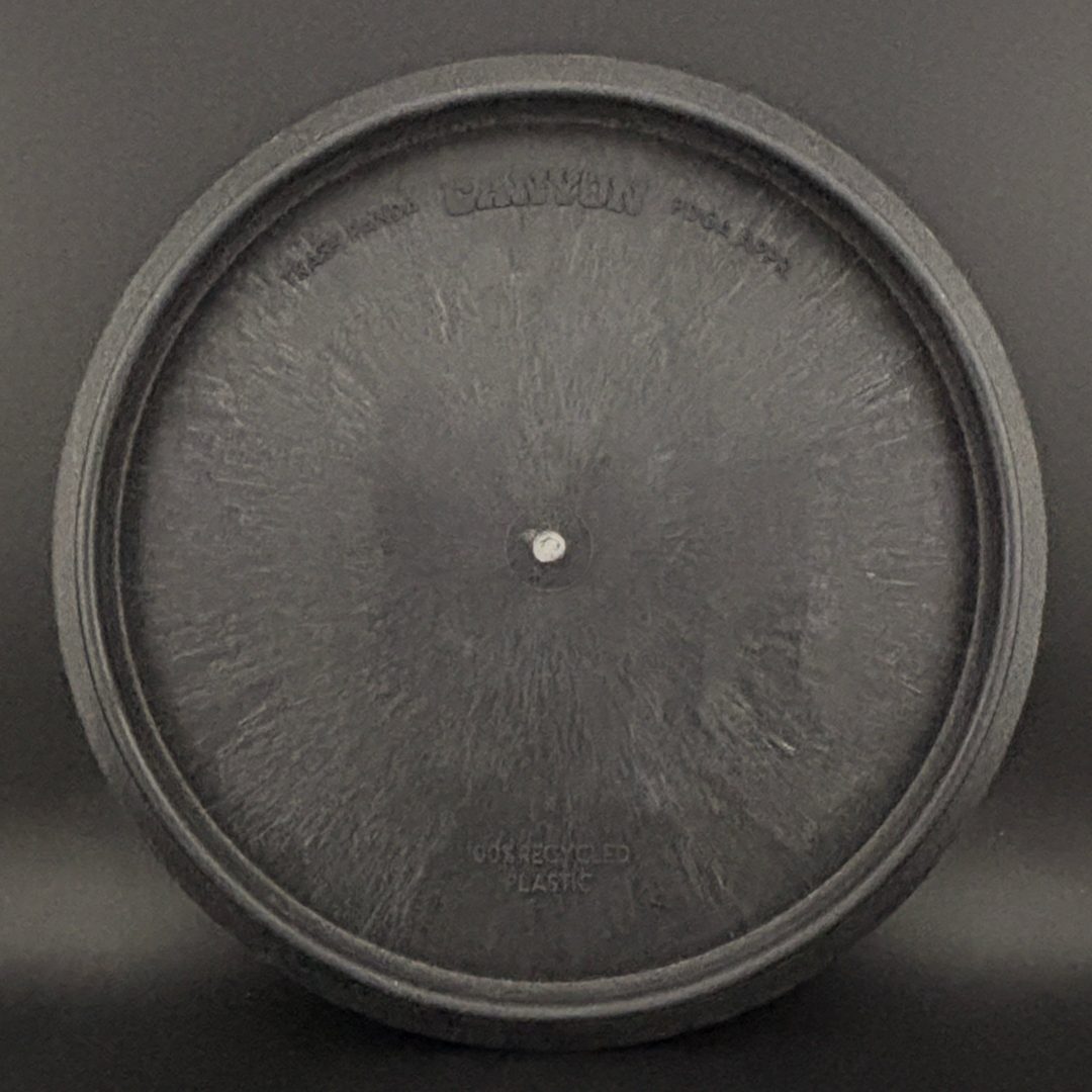 Rubber Canyon - Rubber Ducky Stamp trash panda