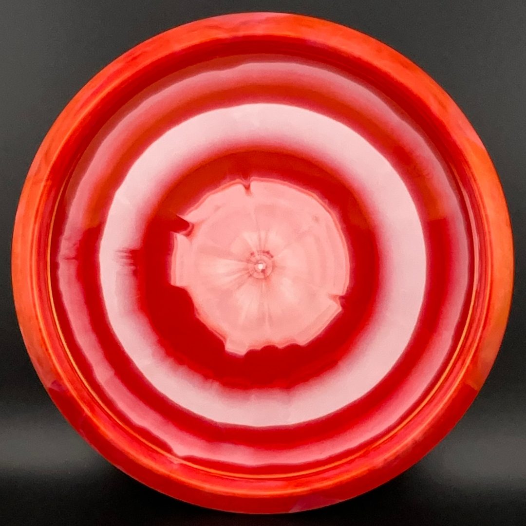 Steady Ring Berry Clash Discs