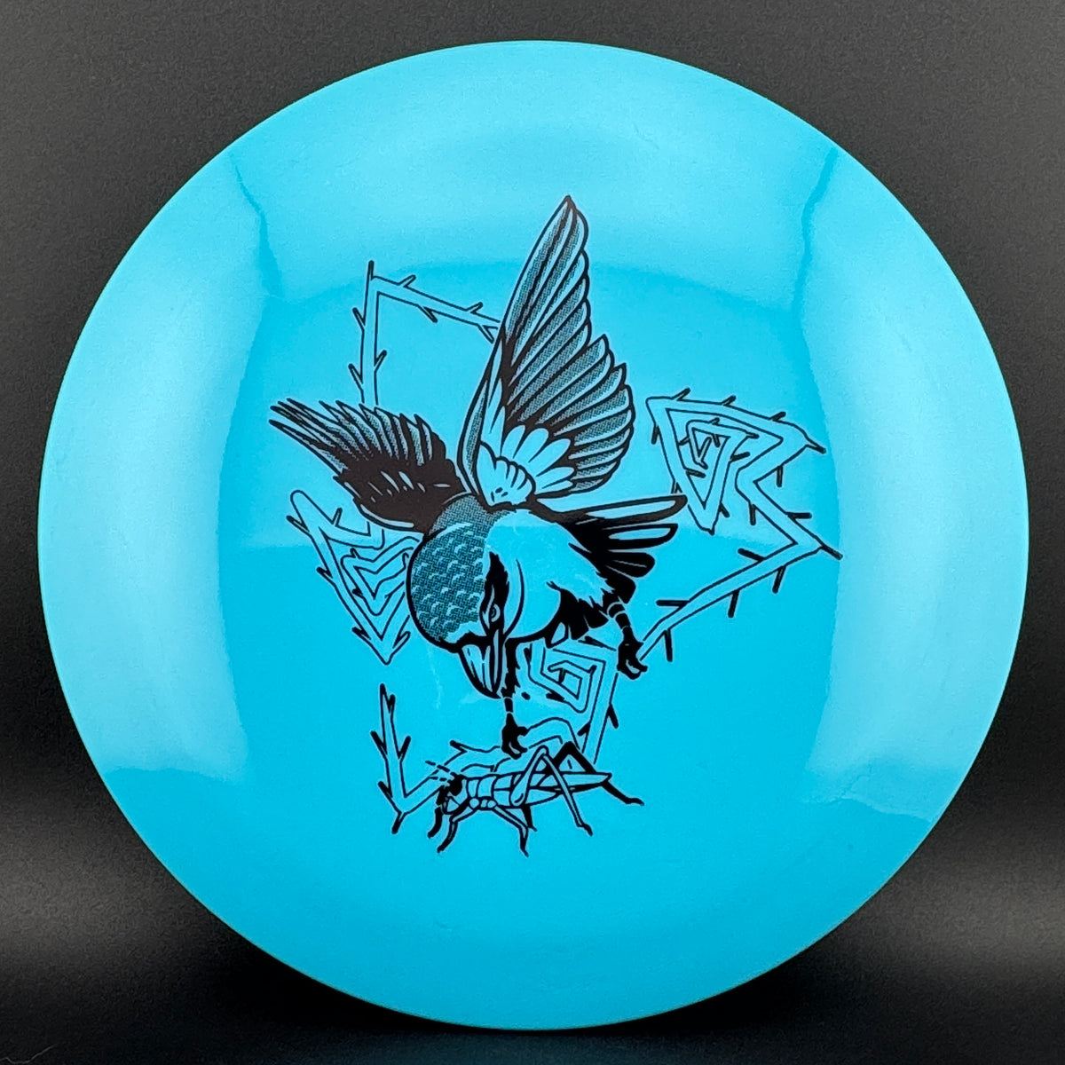 Echo Star Shryke Innova