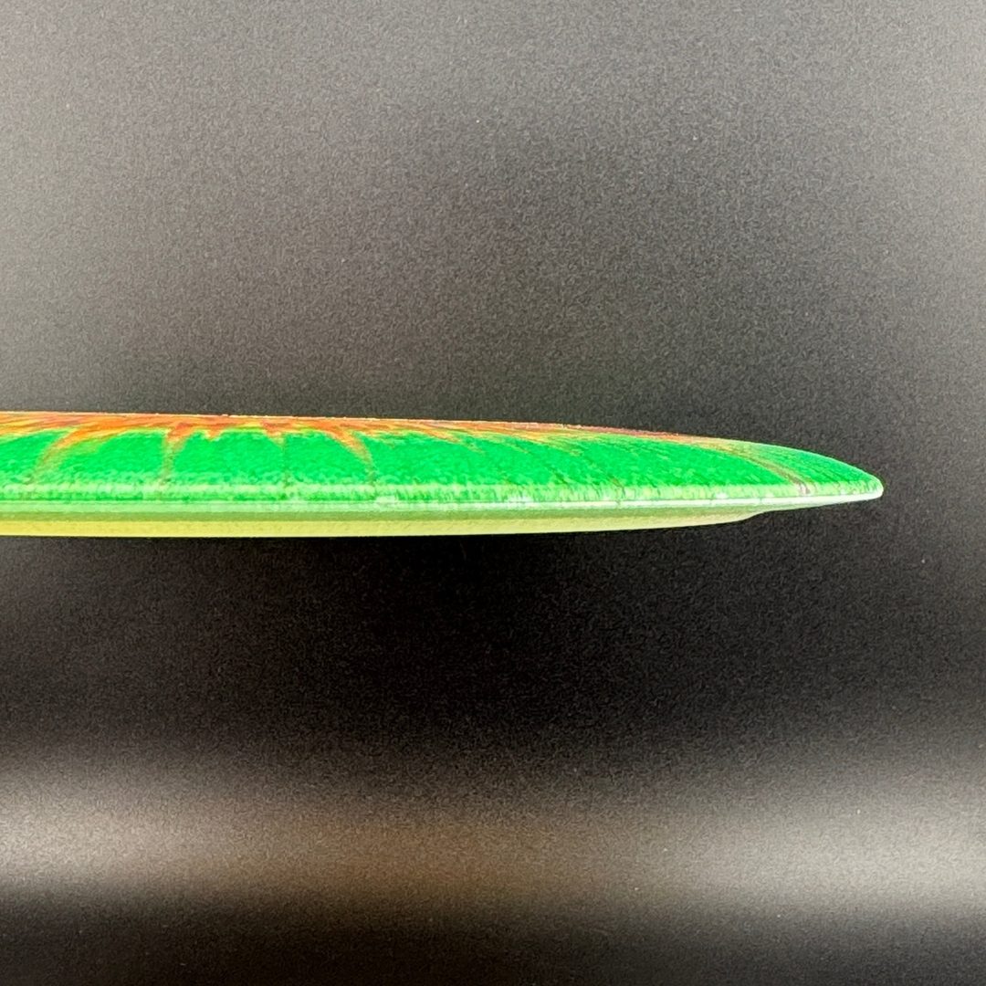 I-Dye Champion Tern Innova