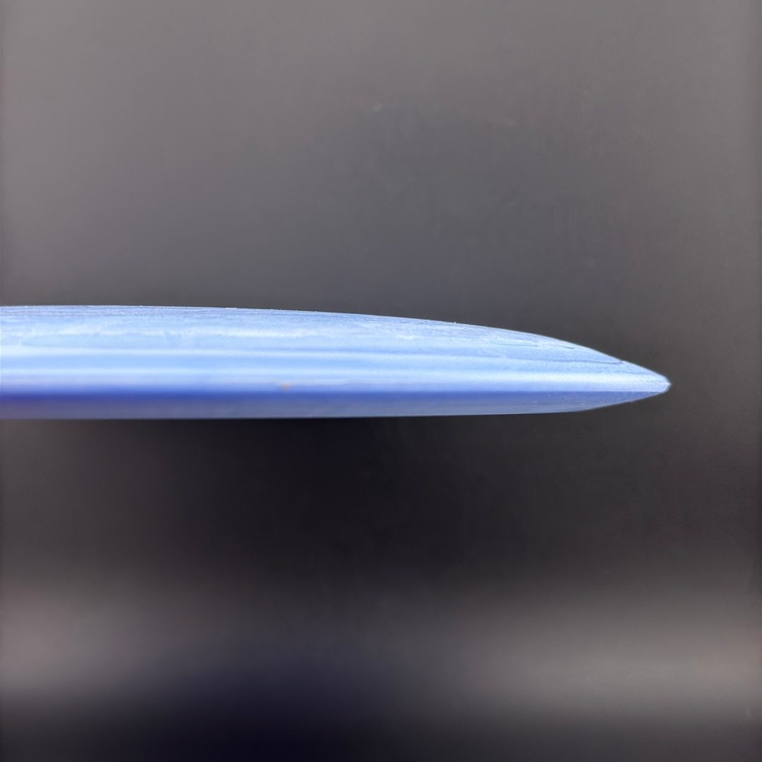 Egg Shell Pterodactyl Dino Discs