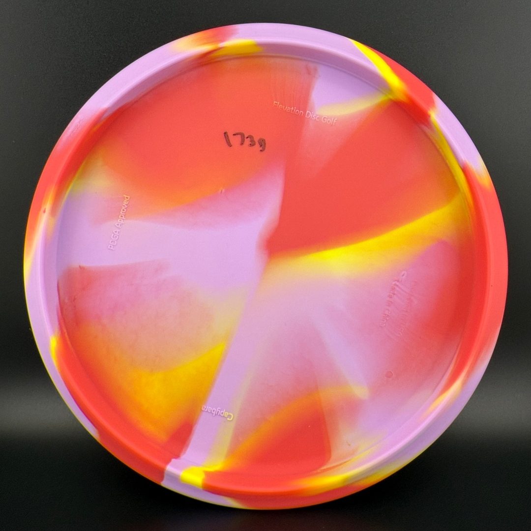 OG Capybara - Clownybara Elevation