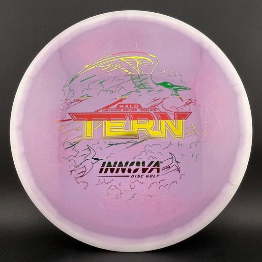 Halo Star Tern Innova