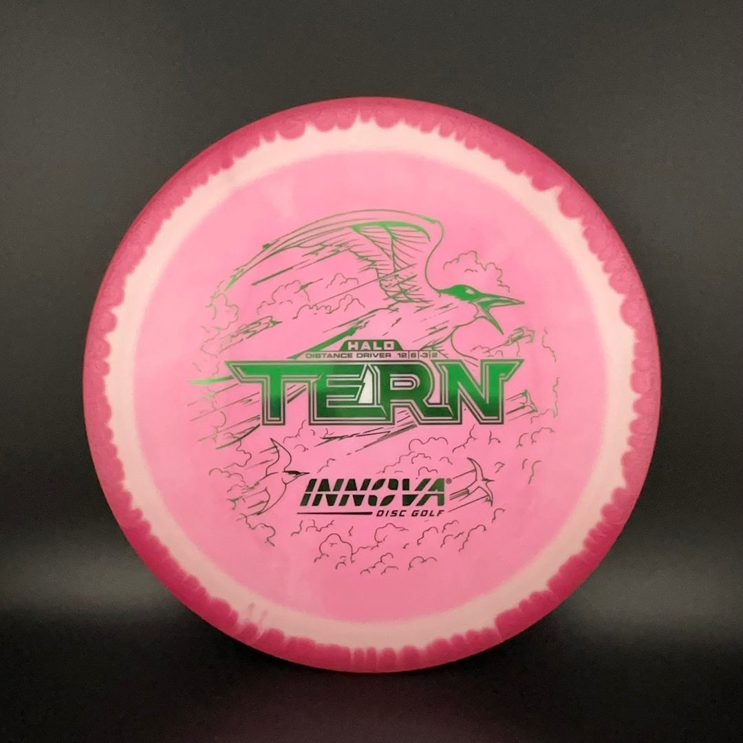 Halo Star Tern Innova