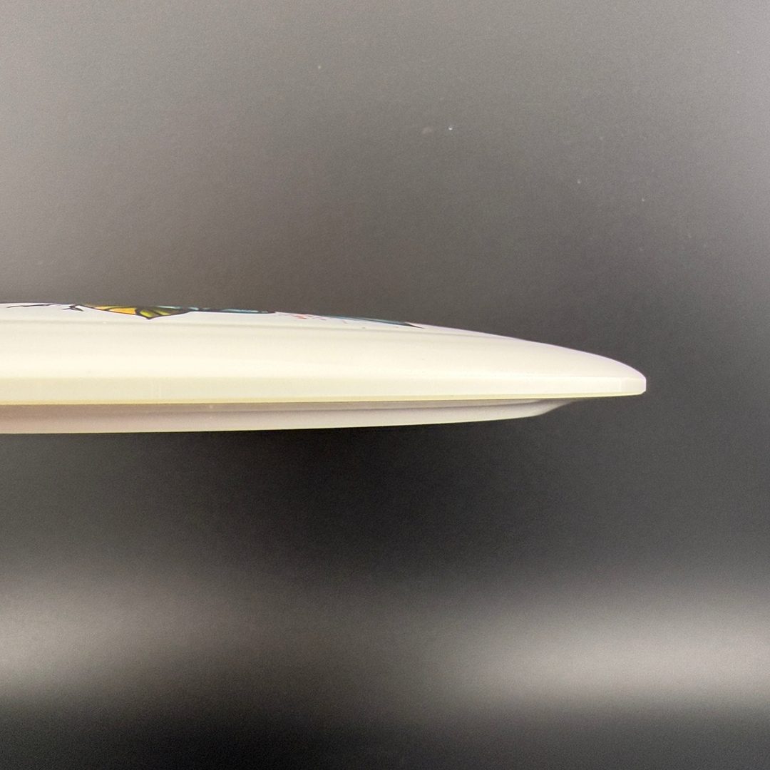 Gold Sapphire - DecoDye - Flowers Latitude 64