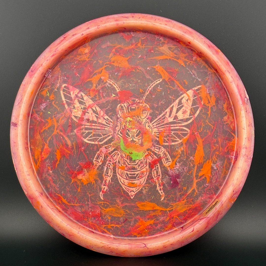 Colorshift Jawbreaker Z Buzzz - DGLO 2025 Discraft