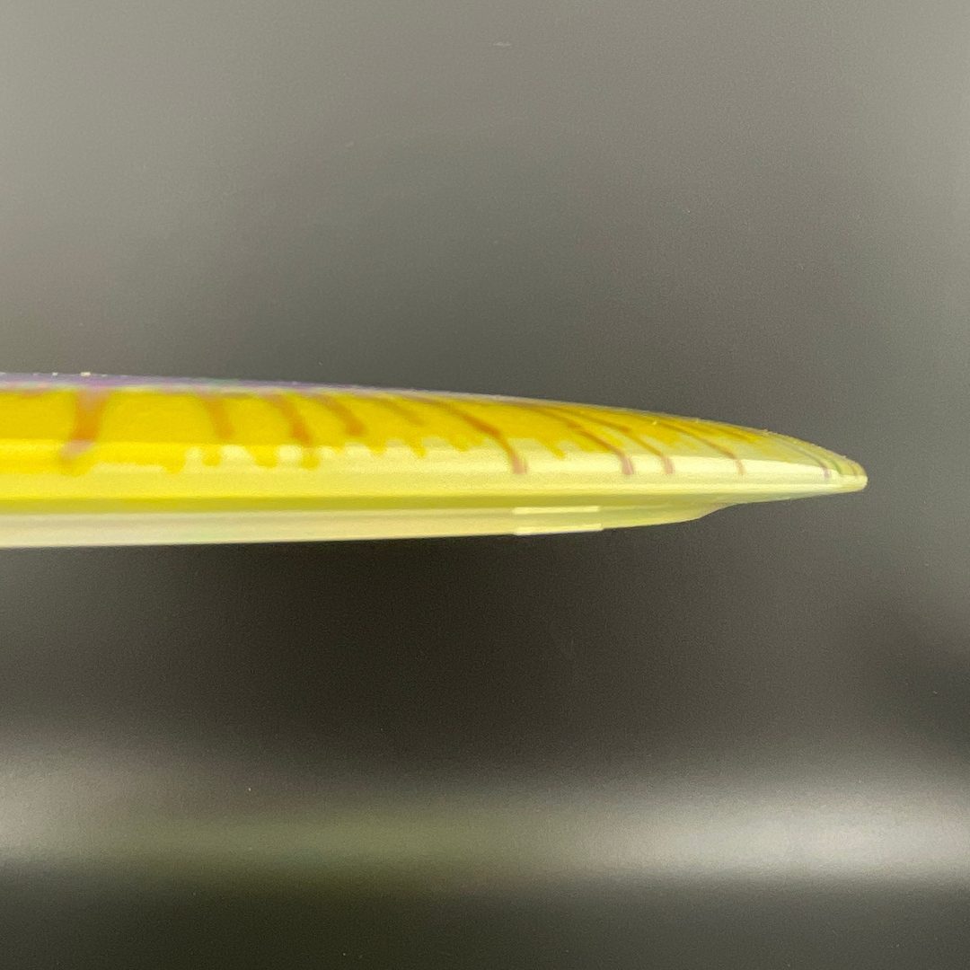 I-Dye Champion Tern Innova