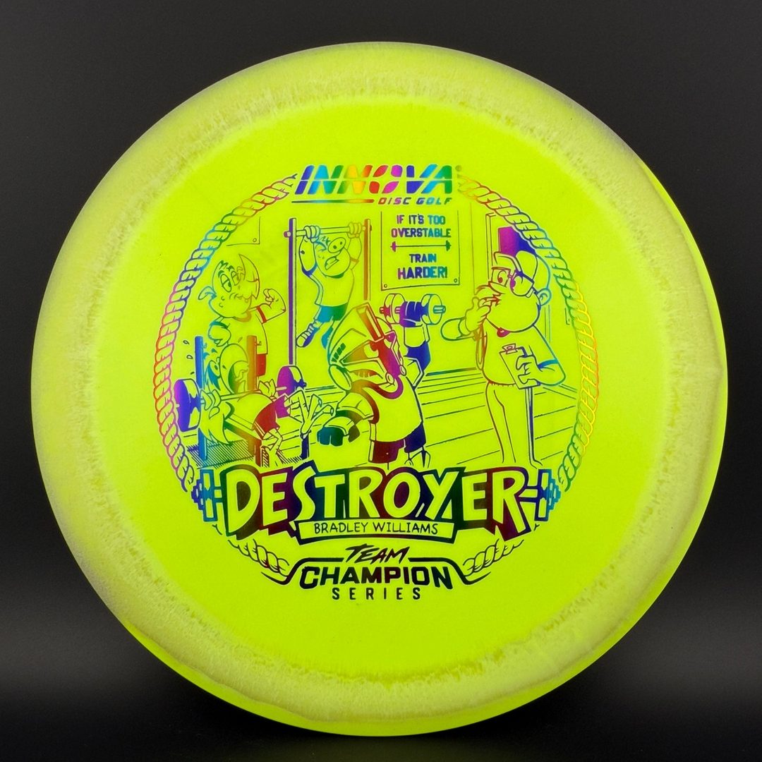 Halo Star Destroyer - Baby Destroyer - PDGA Masters Bradley Williams Innova