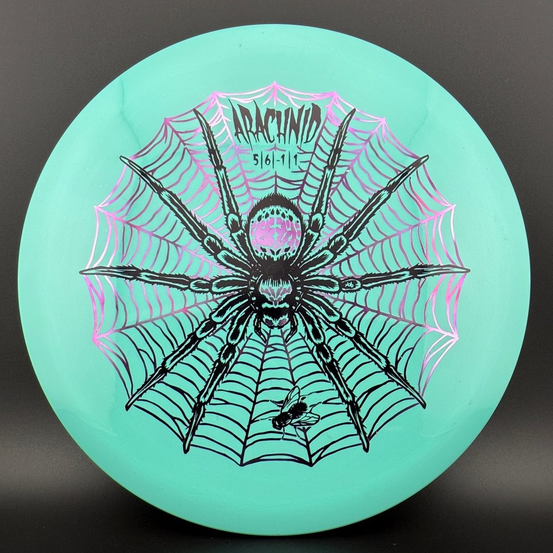 Star Arachnid - Decawolf by Kelly Baber