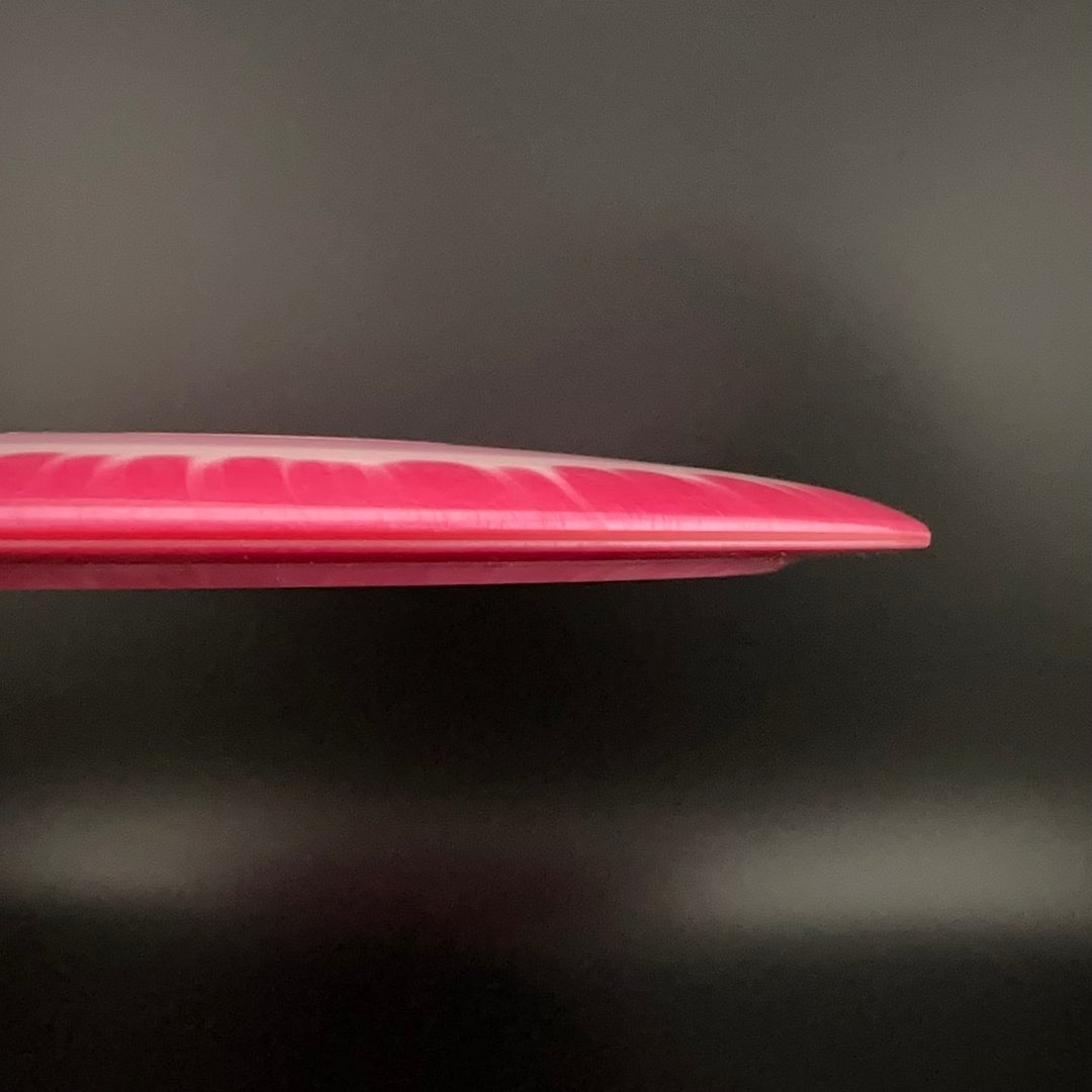 Halo Star Tern Innova