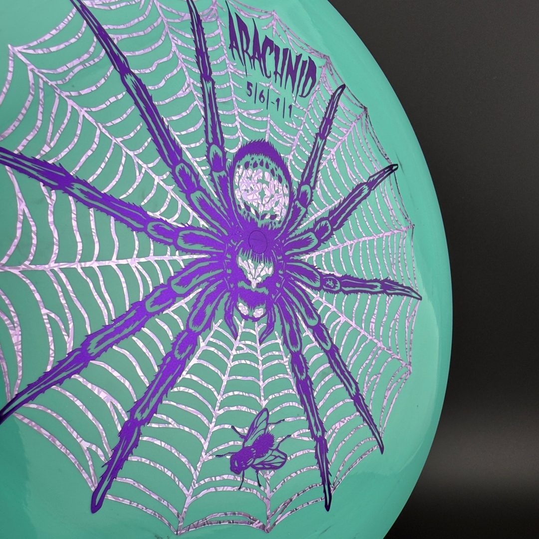 Star Arachnid - Decawolf by Kelly Baber