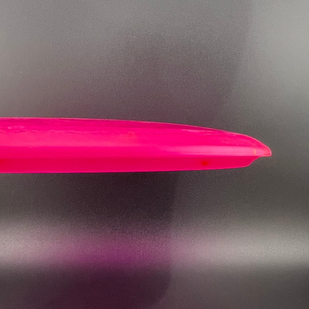 Egg Shell Brachiosaurus - Misprint Dino Discs