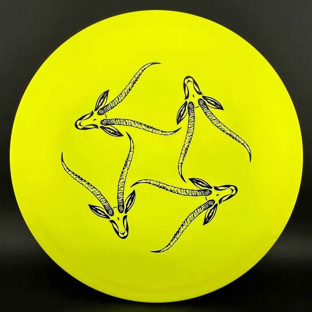 Star Gazelle - Limited Edition Innova