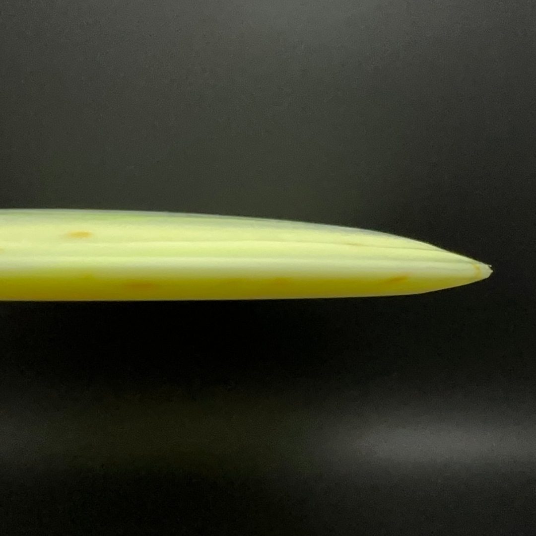 Egg Shell Pterodactyl - 2024 Run Dino Discs