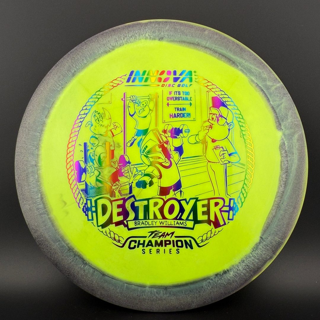 Halo Star Destroyer - Baby Destroyer - PDGA Masters Bradley Williams Innova