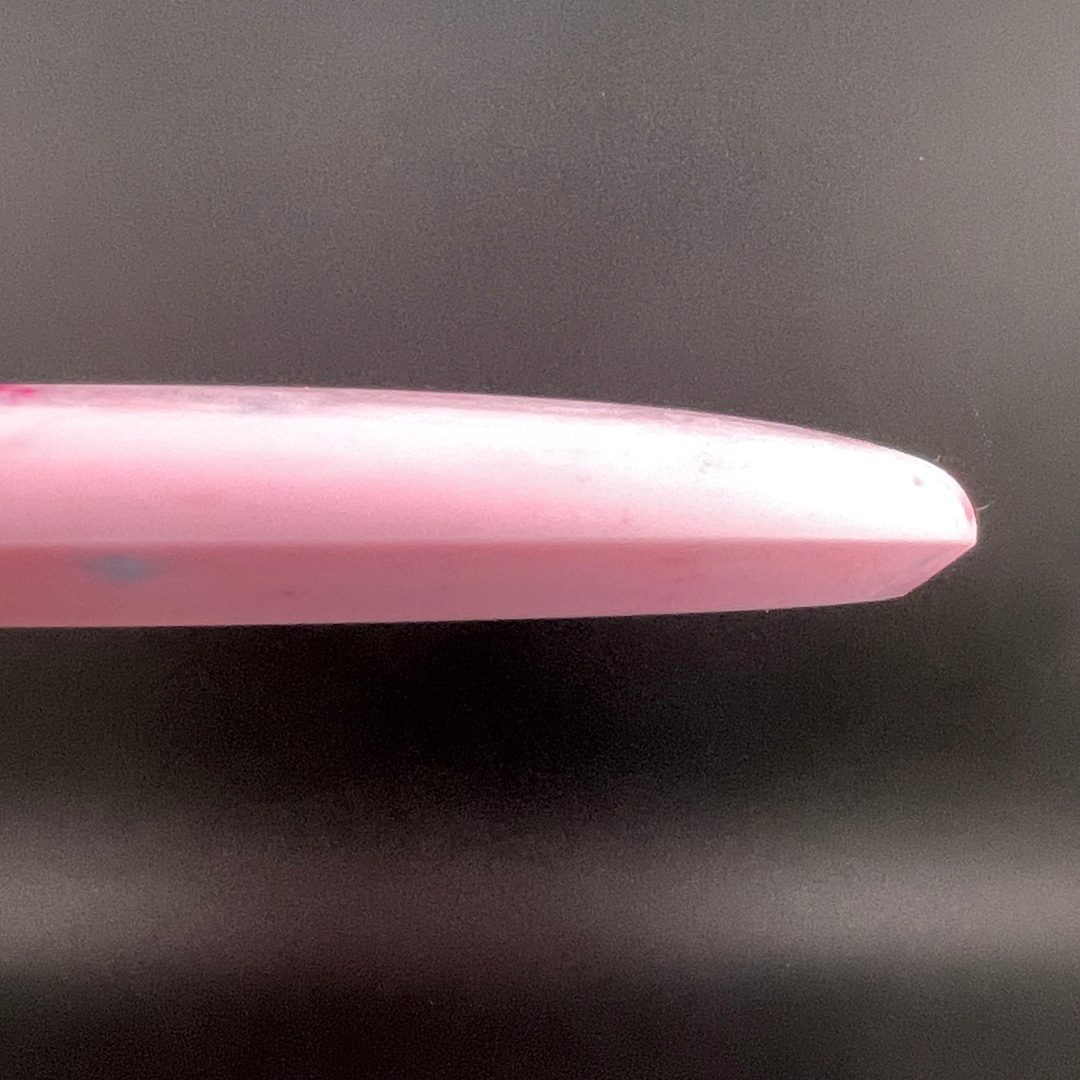 Egg Shell Triceratops - Special Edition Dino Discs