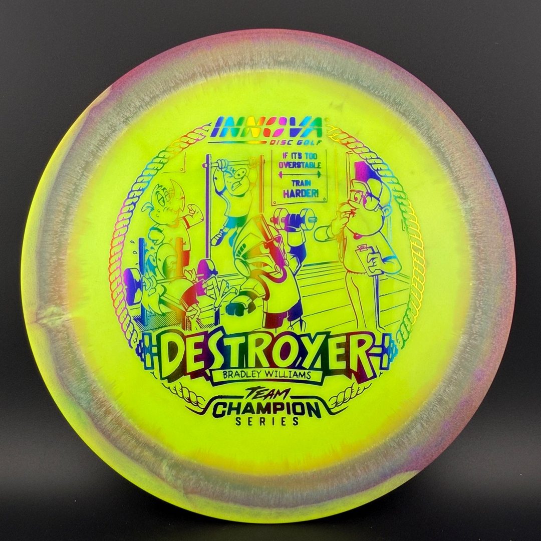 Halo Star Destroyer - Baby Destroyer - PDGA Masters Bradley Williams Innova